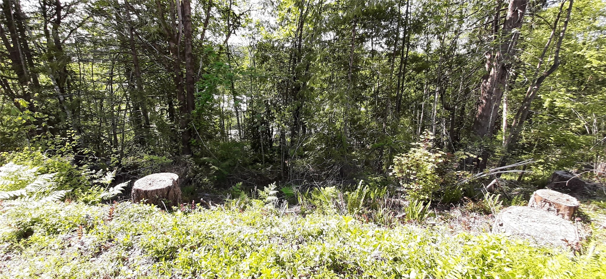 101 NE WJ Way , Belfair, WA 98528