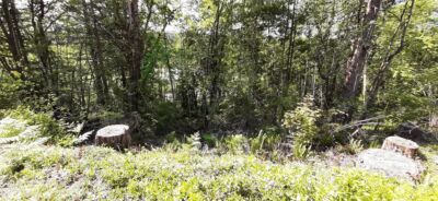 101 NE WJ Way , Belfair, WA 98528 - Photo 3