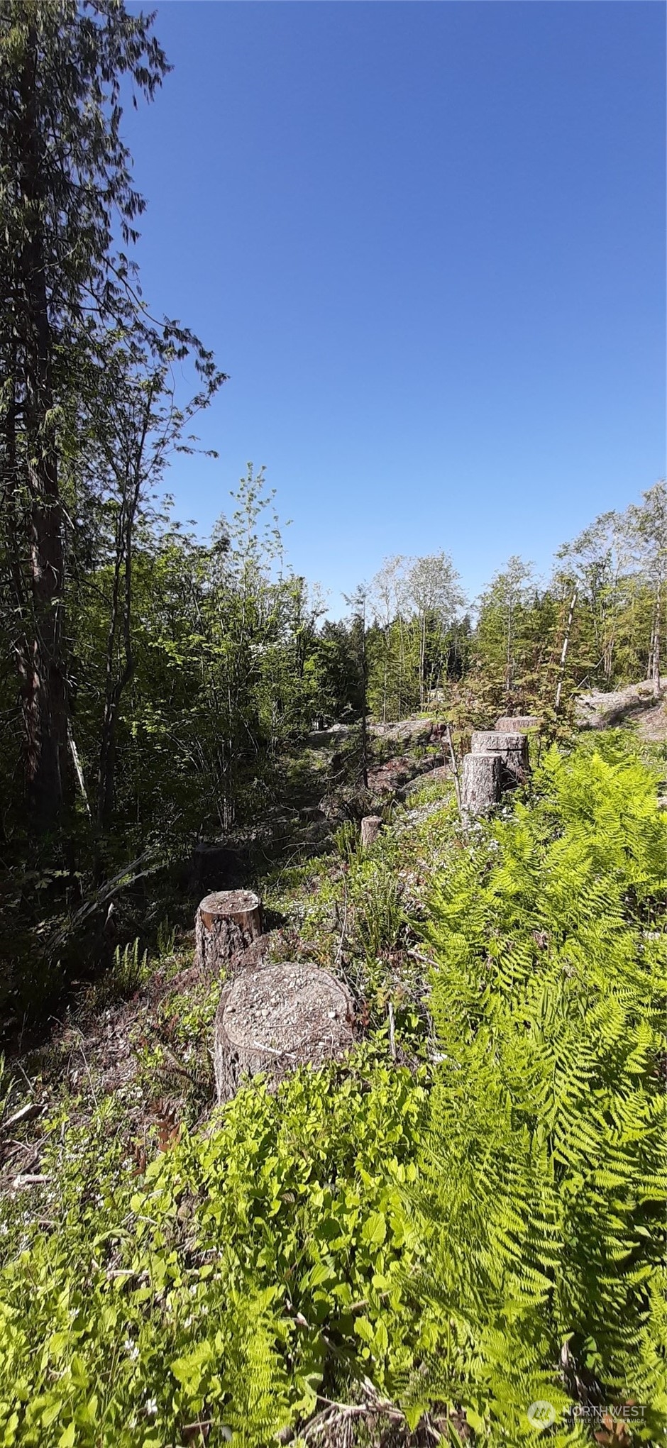 101 NE WJ Way , Belfair, WA 98528