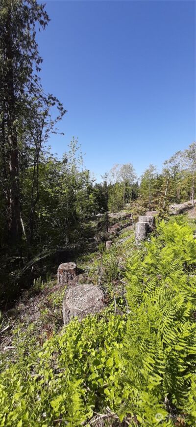 101 NE WJ Way , Belfair, WA 98528 - Photo 4