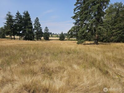 15424 110th Avenue E, Puyallup, WA 98374 - Photo 4