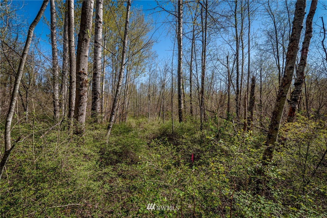 44 XX Pacific Highway , Bellingham, WA 98226