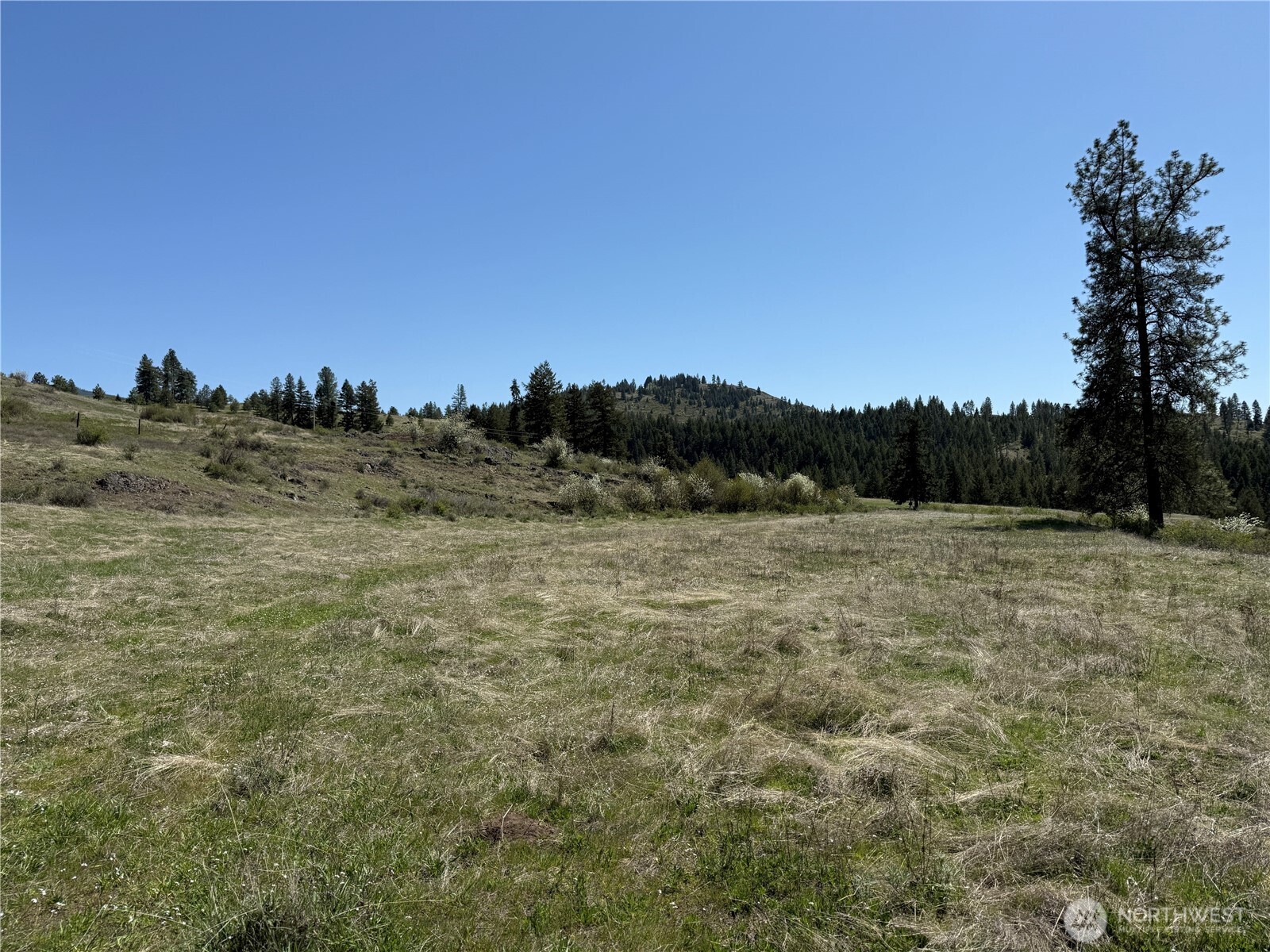 26 Grandview Road , Curlew, WA 99118