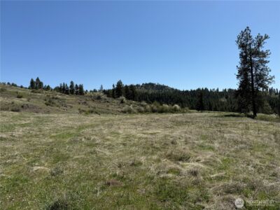 26 Grandview Road , Curlew, WA 99118 - Photo 16