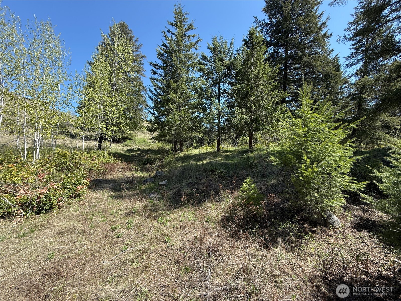 26 Grandview Road , Curlew, WA 99118