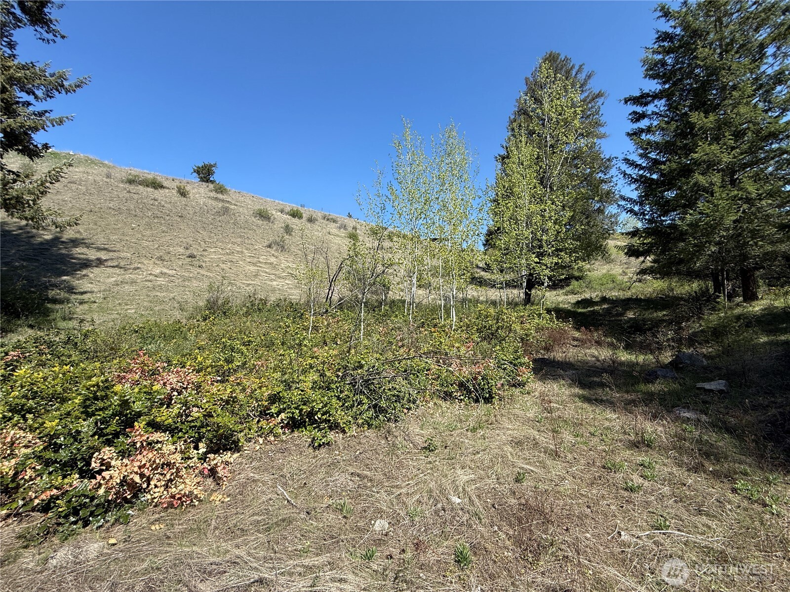 26 Grandview Road , Curlew, WA 99118