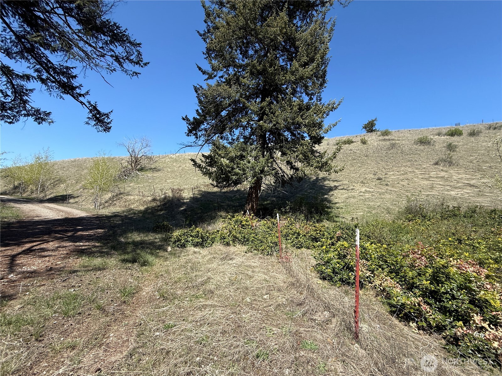 26 Grandview Road , Curlew, WA 99118