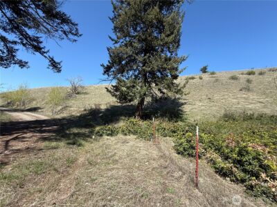 26 Grandview Road , Curlew, WA 99118 - Photo 19