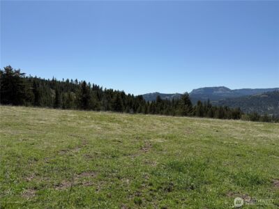 26 Grandview Road , Curlew, WA 99118 - Photo 2