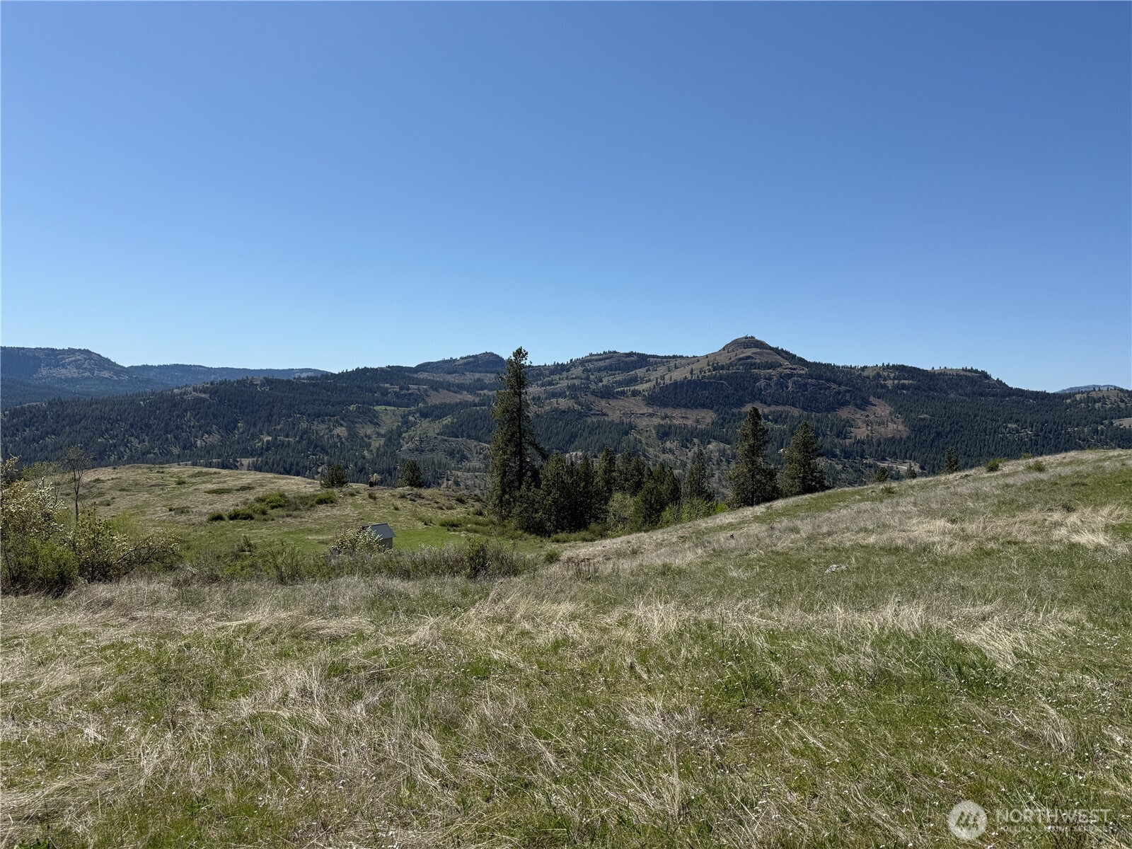 26 Grandview Road , Curlew, WA 99118