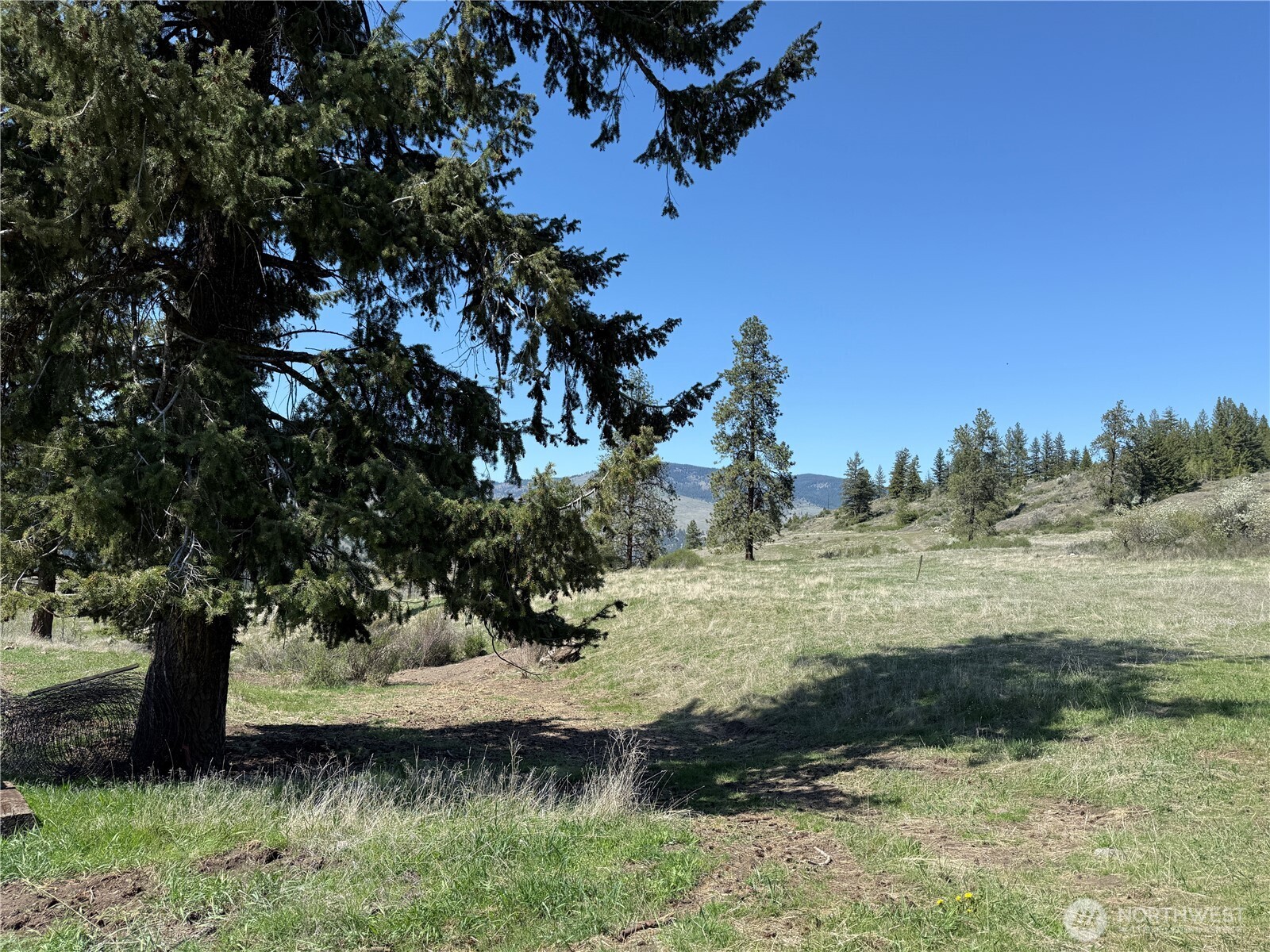 26 Grandview Road , Curlew, WA 99118