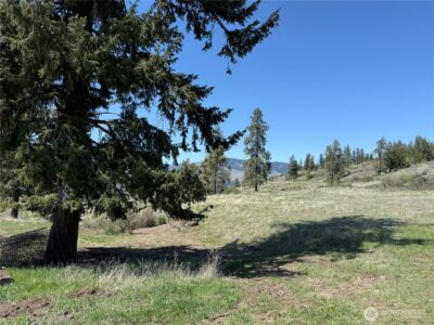 26 Grandview Road , Curlew, WA 99118 - Photo 22