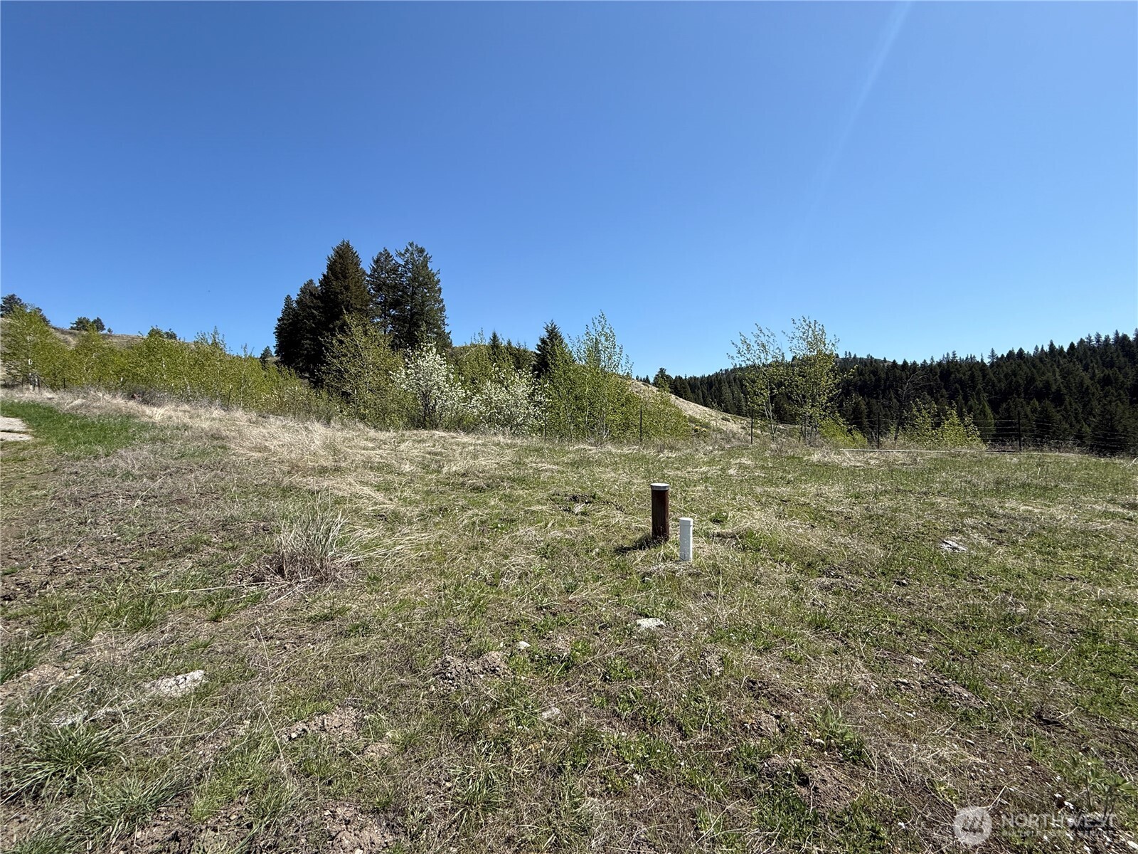 26 Grandview Road , Curlew, WA 99118