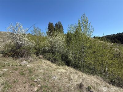 26 Grandview Road , Curlew, WA 99118 - Photo 25