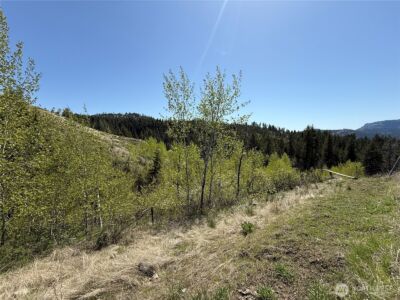 26 Grandview Road , Curlew, WA 99118 - Photo 26