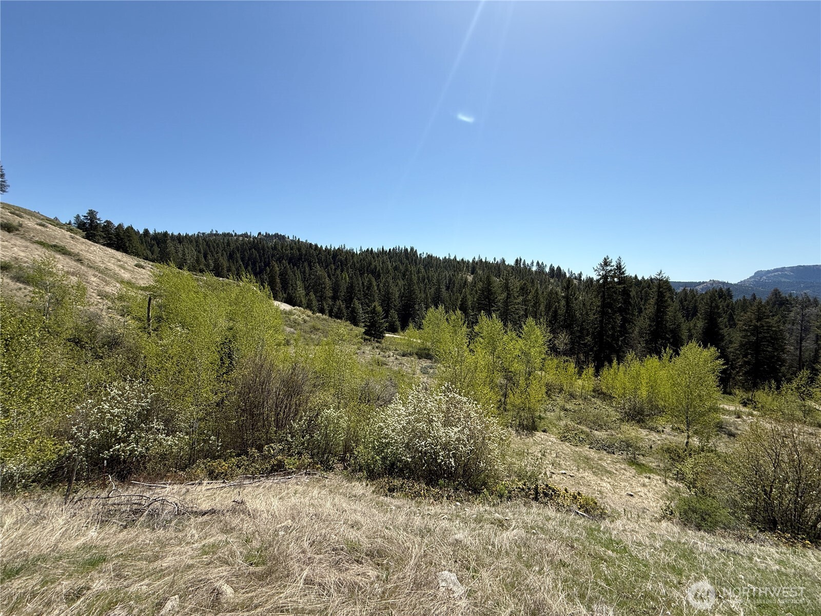 26 Grandview Road , Curlew, WA 99118