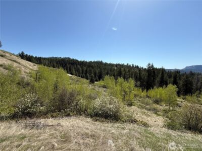 26 Grandview Road , Curlew, WA 99118 - Photo 28