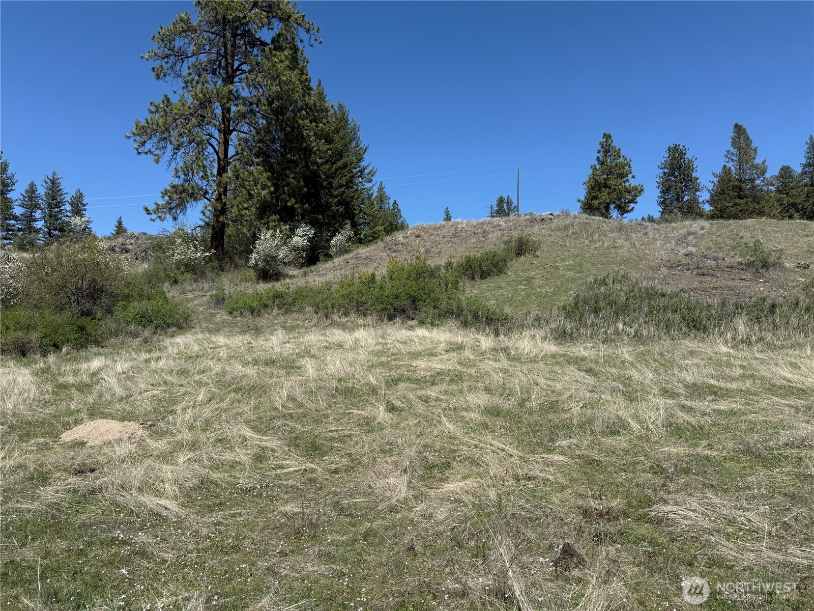 26 Grandview Road , Curlew, WA 99118