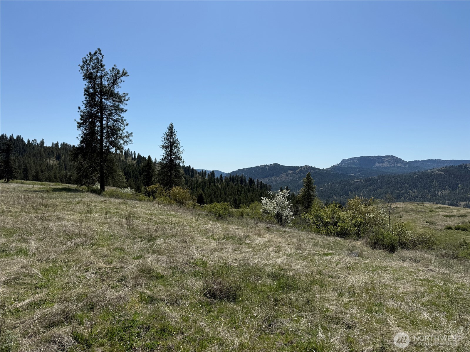 26 Grandview Road , Curlew, WA 99118