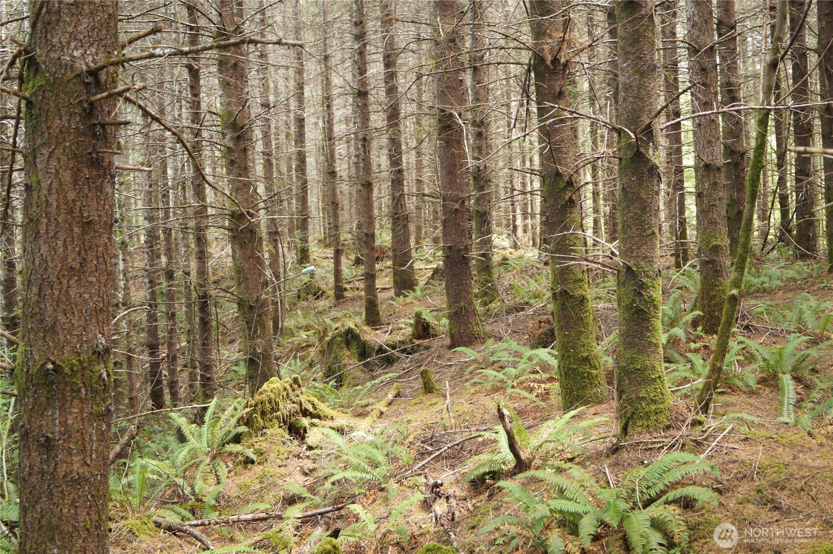 0 NKA Brooklyn Road , Oakville, WA 98568