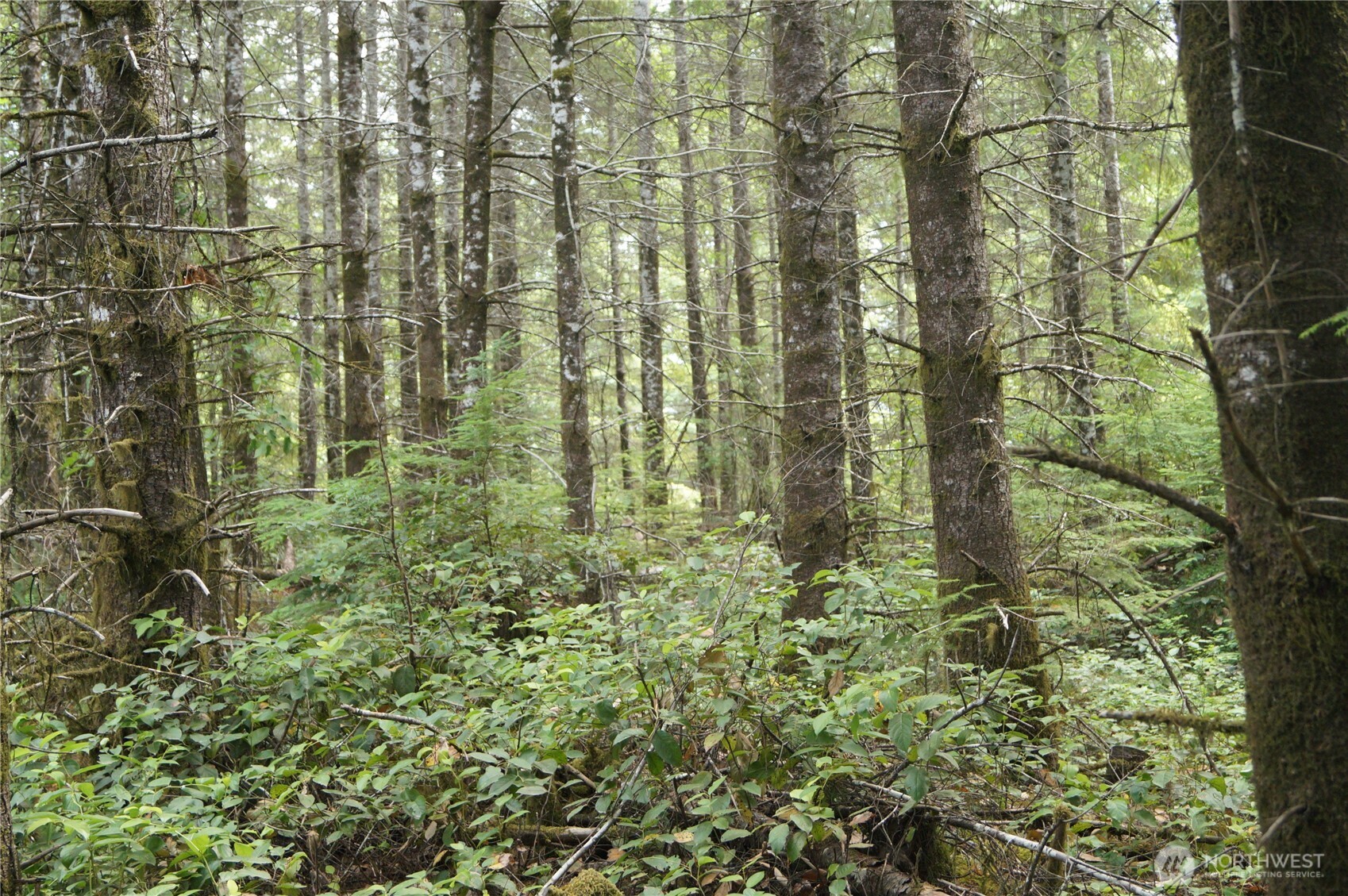 0 NKA Brooklyn Road , Oakville, WA 98568