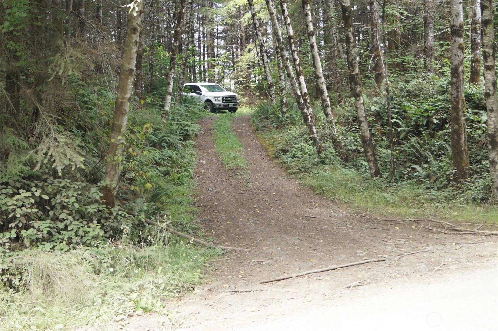 0 NKA Brooklyn Road , Oakville, WA 98568