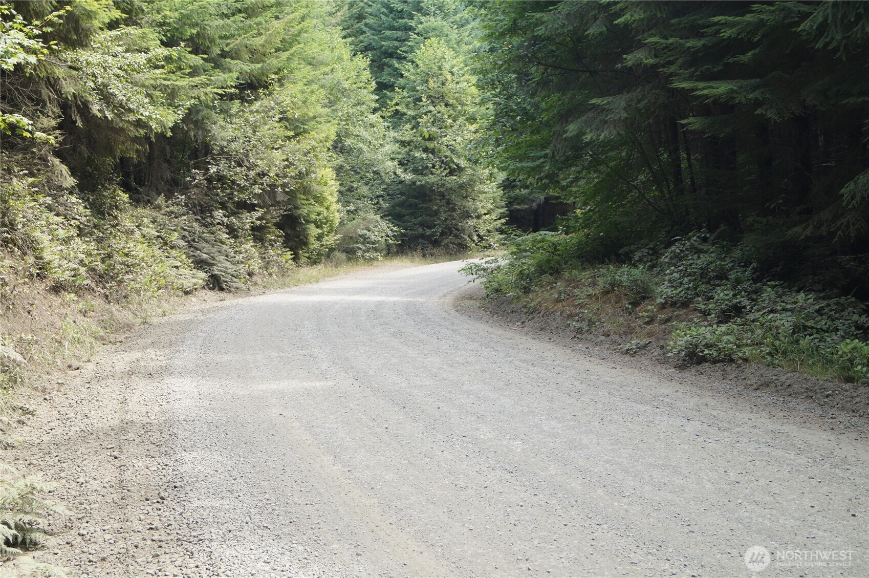 0 NKA Brooklyn Road , Oakville, WA 98568