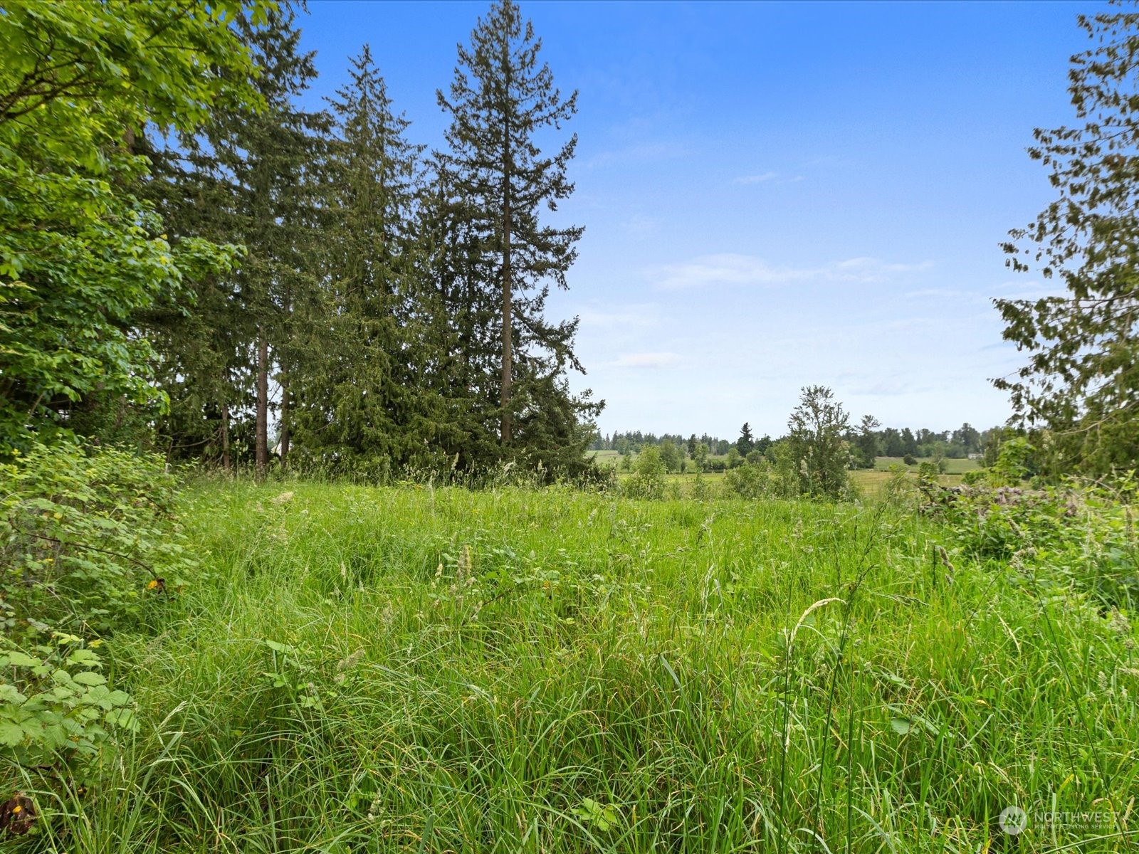 400 XX 200th Avenue SE, Enumclaw, WA 98022