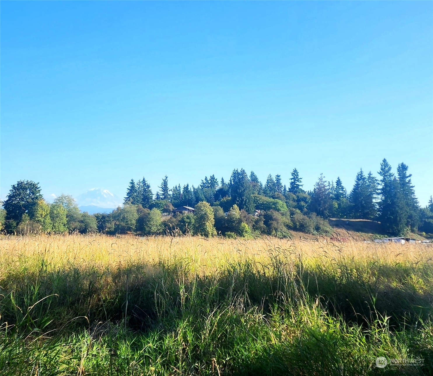 400 XX 200th Avenue SE, Enumclaw, WA 98022