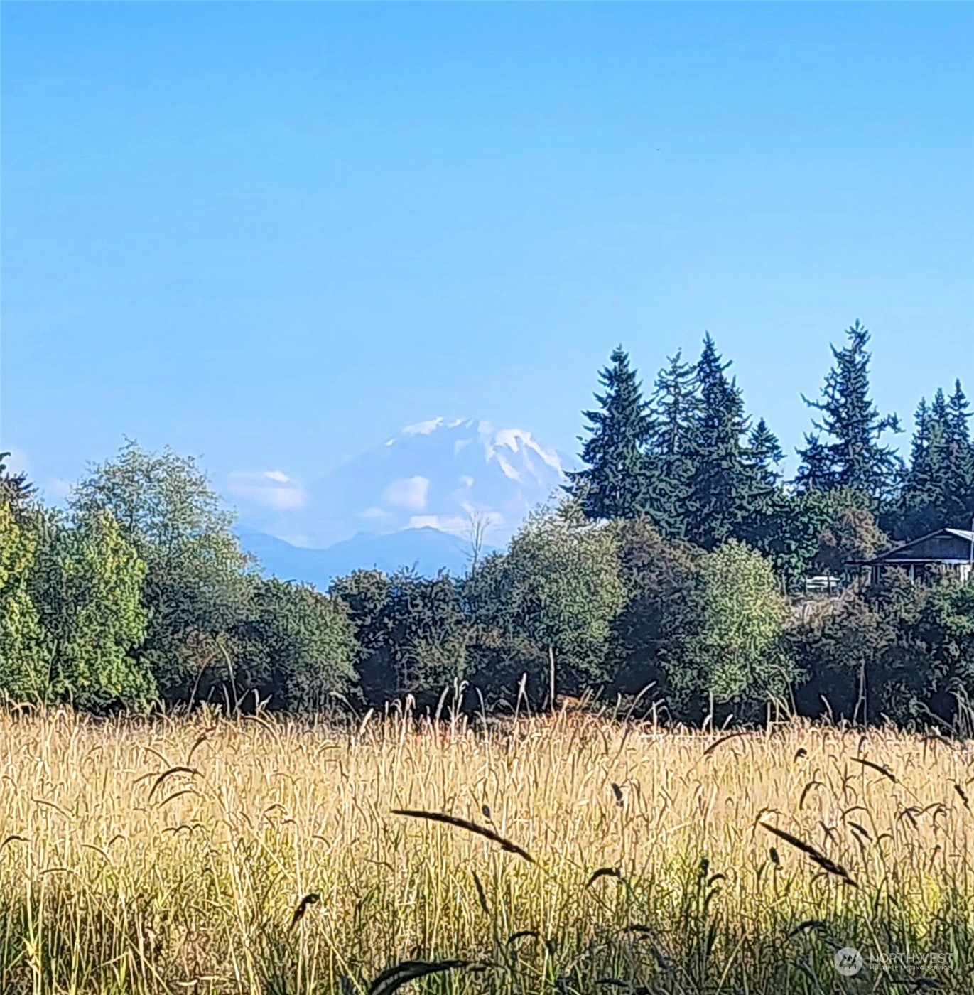 400 XX 200th Avenue SE, Enumclaw, WA 98022