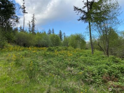 18703 SR 302 , Gig Harbor, WA 98329