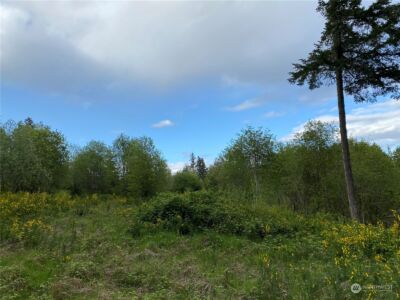 18703 SR 302 , Gig Harbor, WA 98329 - Photo 5