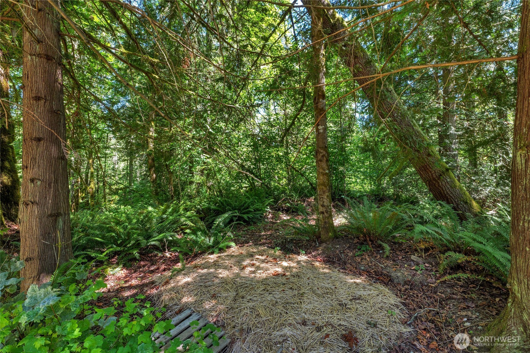 189 xx 209th Avenue SE, Monroe, WA 98272