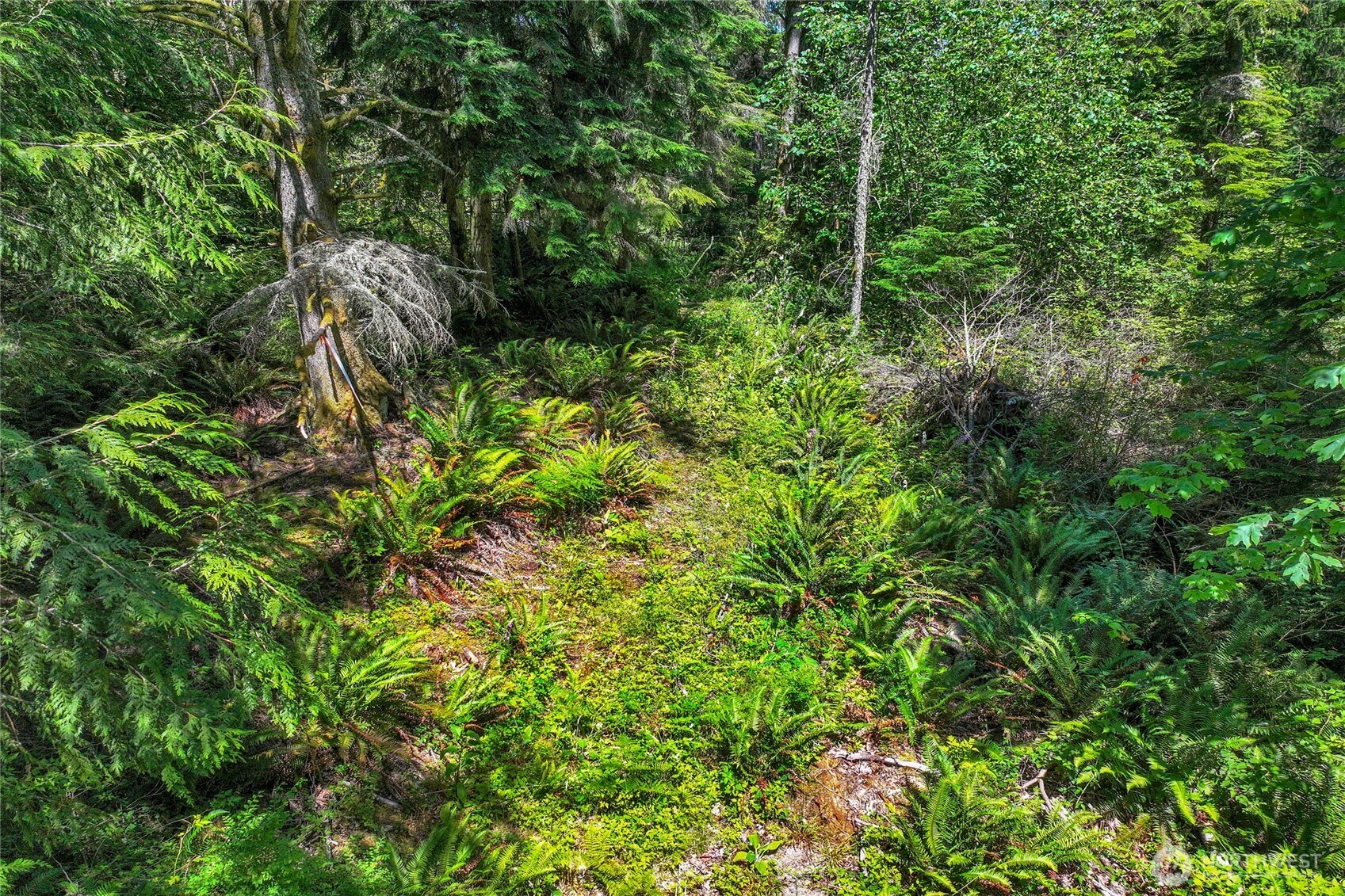 189 xx 209th Avenue SE, Monroe, WA 98272