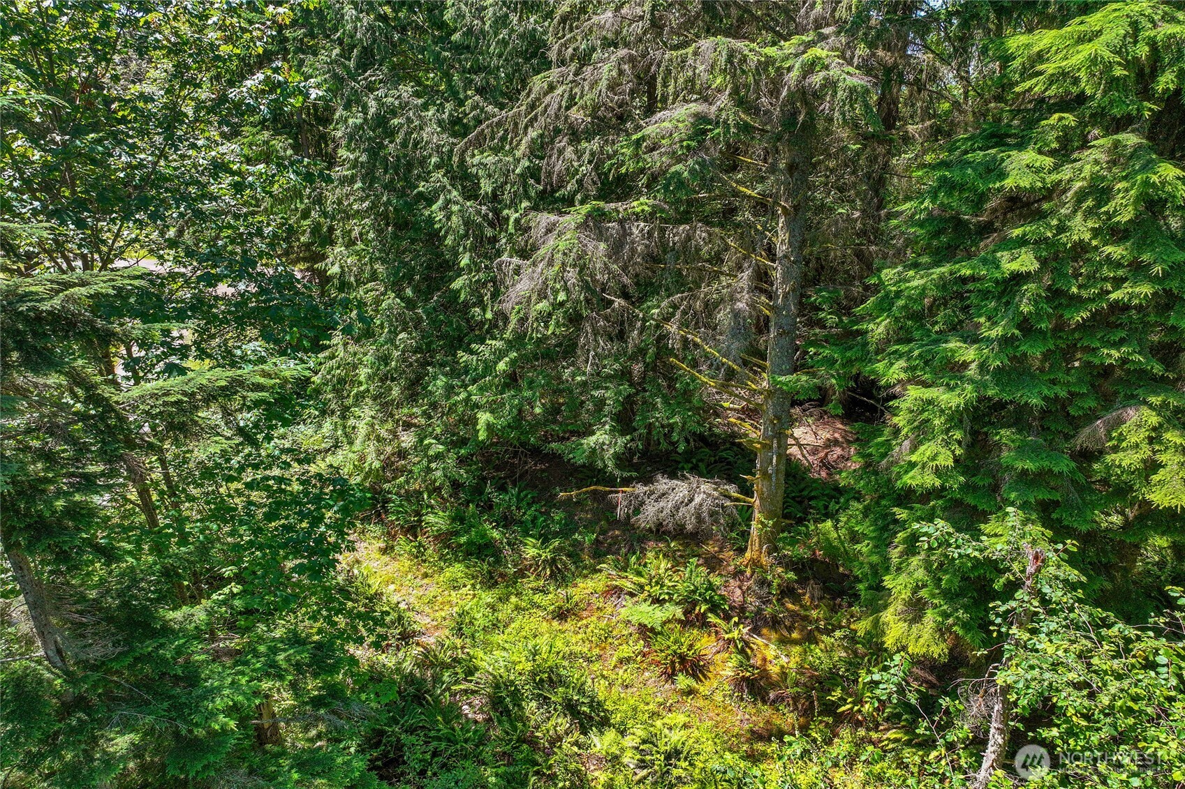 189 xx 209th Avenue SE, Monroe, WA 98272