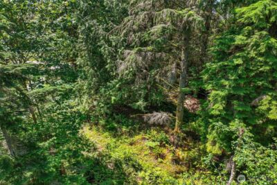 189 xx 209th Avenue SE, Monroe, WA 98272 - Photo 14