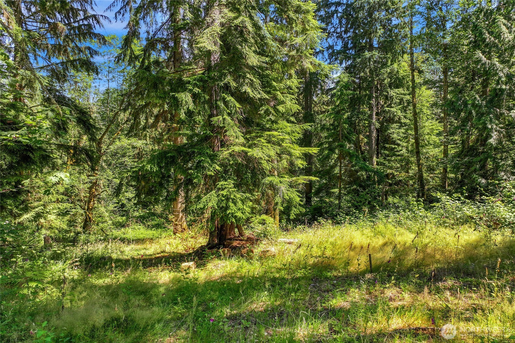 189 xx 209th Avenue SE, Monroe, WA 98272