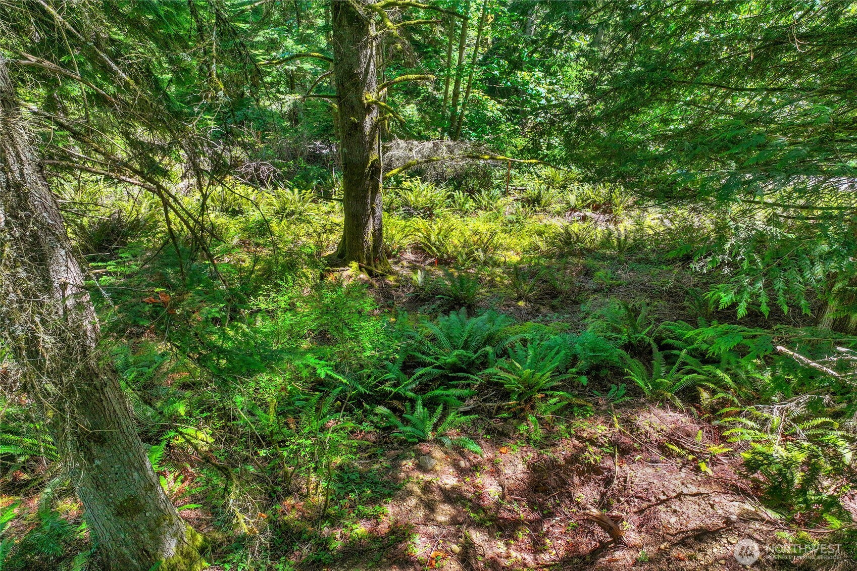 189 xx 209th Avenue SE, Monroe, WA 98272