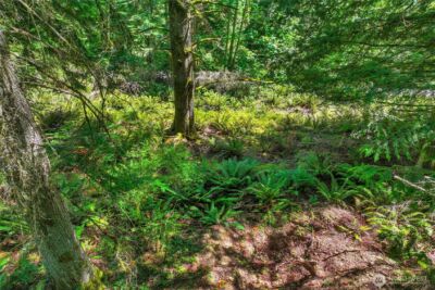 189 xx 209th Avenue SE, Monroe, WA 98272 - Photo 24