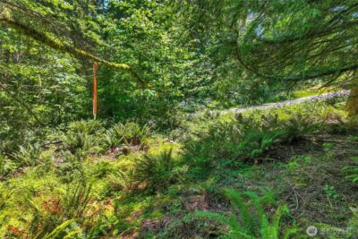 189 xx 209th Avenue SE, Monroe, WA 98272 - Photo 25