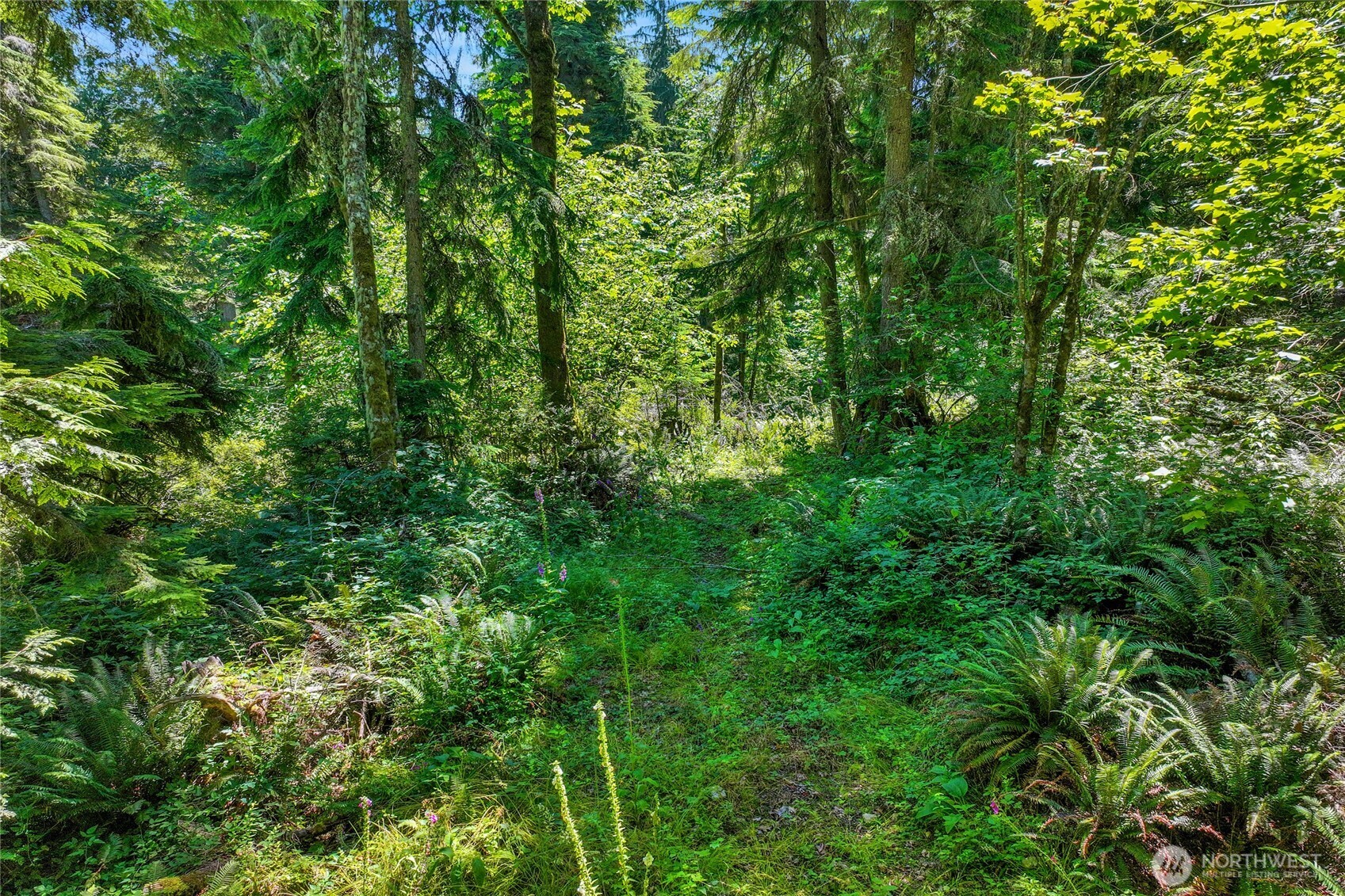 189 xx 209th Avenue SE, Monroe, WA 98272