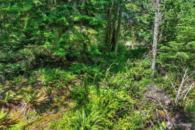 189 xx 209th Avenue SE, Monroe, WA 98272 - Photo 28