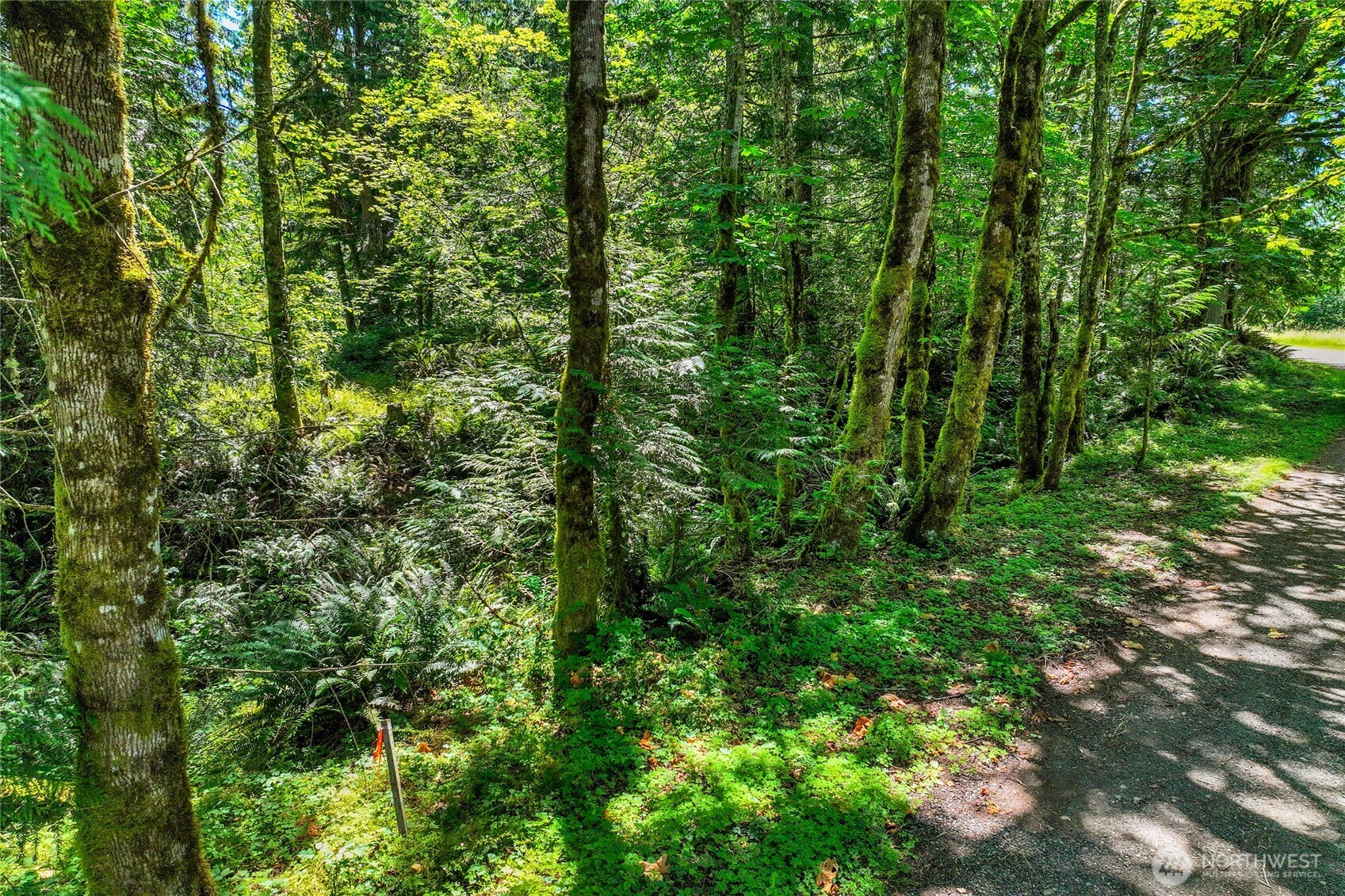 189 xx 209th Avenue SE, Monroe, WA 98272