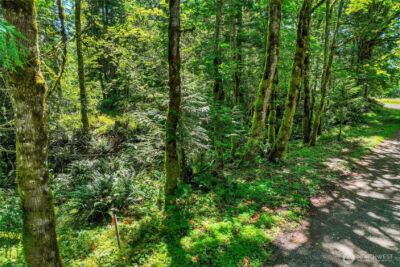 189 xx 209th Avenue SE, Monroe, WA 98272 - Photo 29