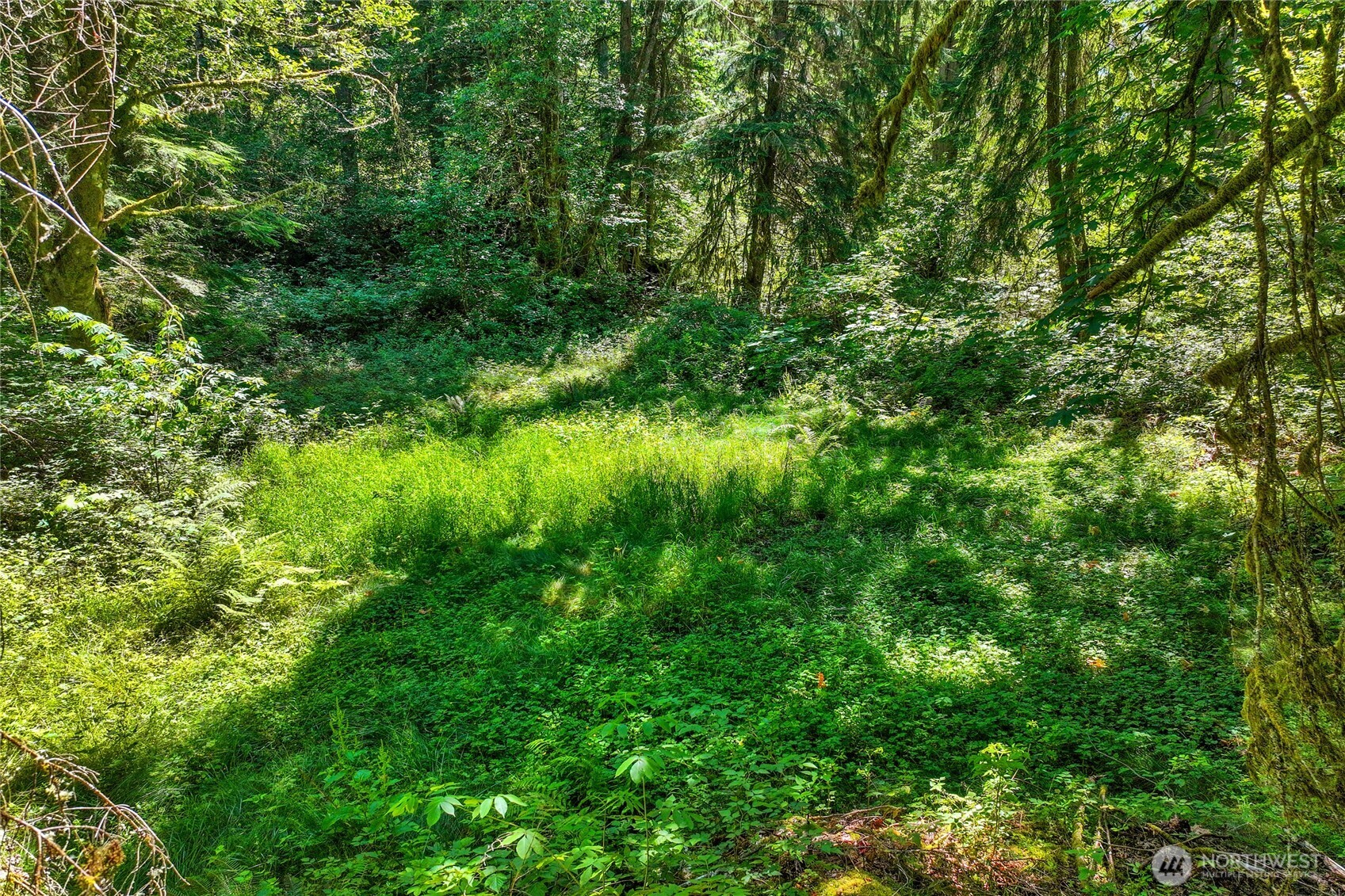 189 xx 209th Avenue SE, Monroe, WA 98272