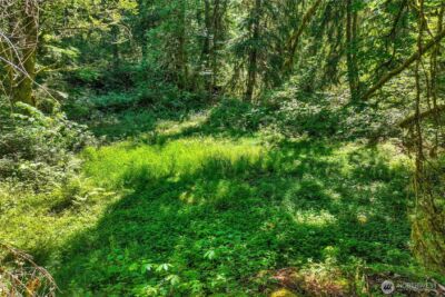 189 xx 209th Avenue SE, Monroe, WA 98272 - Photo 30