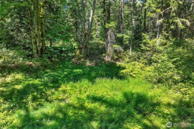 189 xx 209th Avenue SE, Monroe, WA 98272 - Photo 31