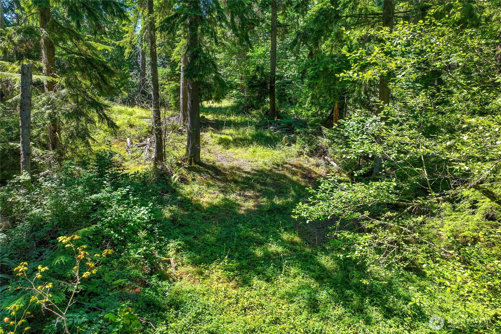 189 xx 209th Avenue SE, Monroe, WA 98272