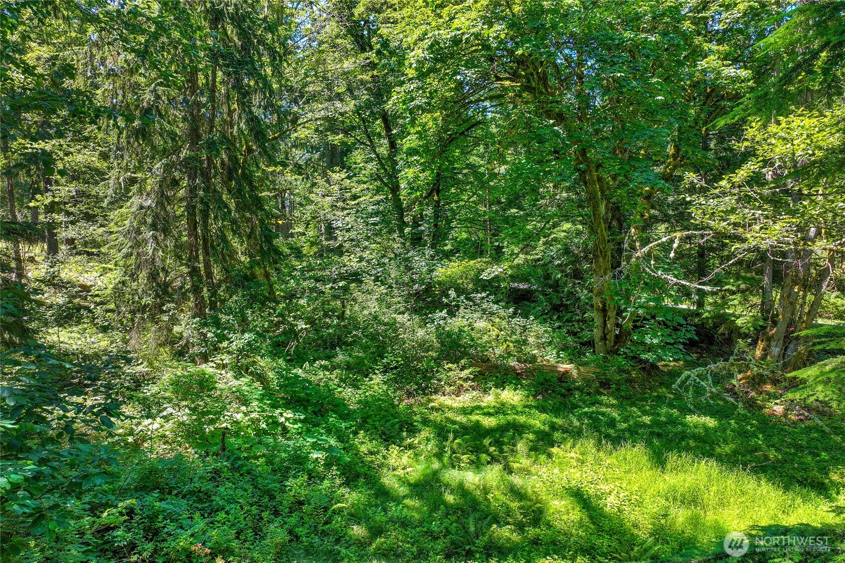 189 xx 209th Avenue SE, Monroe, WA 98272