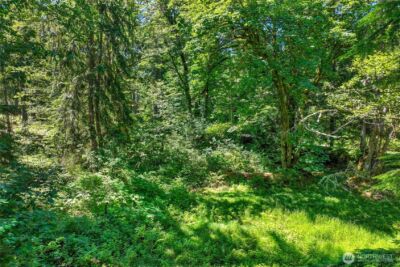 189 xx 209th Avenue SE, Monroe, WA 98272 - Photo 34